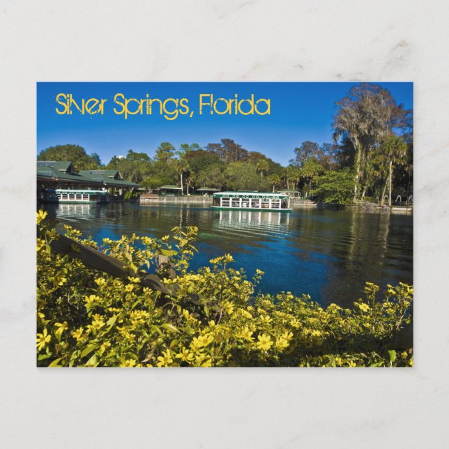 Silver Springs Nature Theme Park, Florida, U.S.A. Postkarte (Vorderseite)