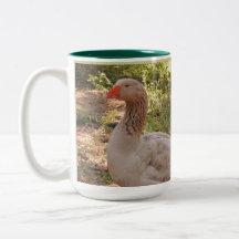 Silver- Springwasservogel-Kaffee-Tasse "Henry "