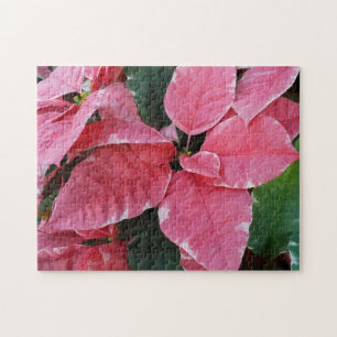 Silver Star Marble Poinsettias Pink Holiday Floral