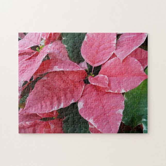 Silver Star Marble Poinsettias Pink Holiday Floral (Horizontal)