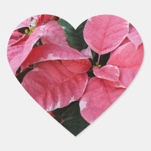 Silver Star Marble Poinsettias Pink Holiday Floral Herz-Aufkleber