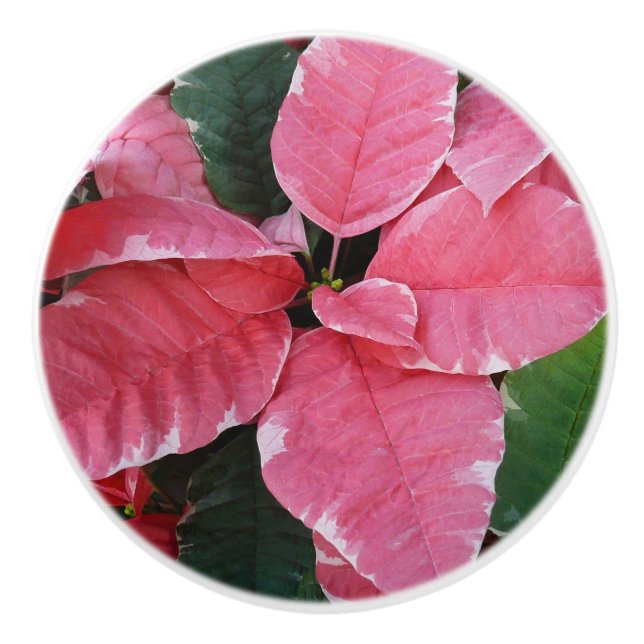 Silver Star Marble Poinsettias Pink Holiday Floral Keramikknauf (Vorderseite)