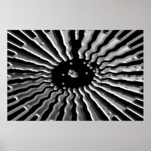 Silver Star - Solarplexe Poster