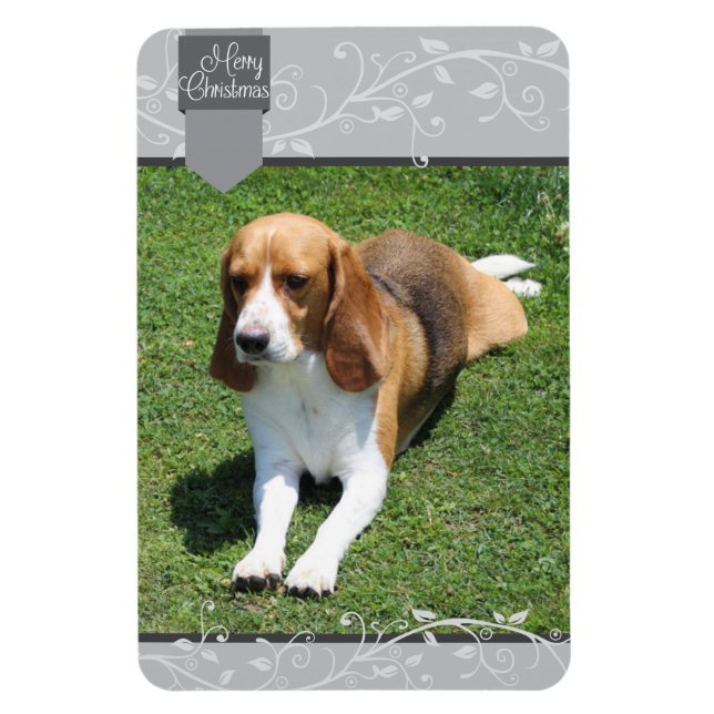 Silver Tab & Blüh Frohe Weihnachten Magnet (Vertikal)