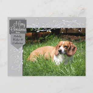 Silver Tab und Schnörkel Weihnachts-Foto Postkarte