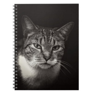 SILVER TABBY CAT NOTIZBLOCK