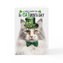 Silver Tabby Norwegian Forest Cat St CATrick's Day
