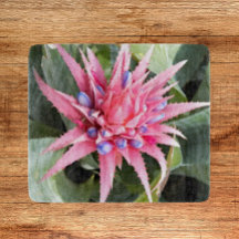 Silver Vase Pflanze Bloom Floral