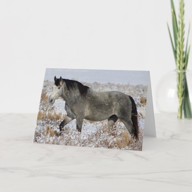 SILVER WILD HORSE OF UTAH Carte de voeux pliée (Devant)