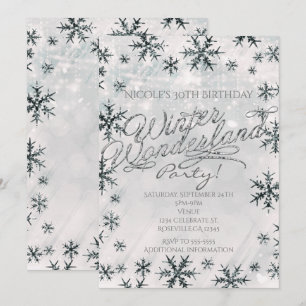 Silver Winter Wonderland Snowflakes Einladung