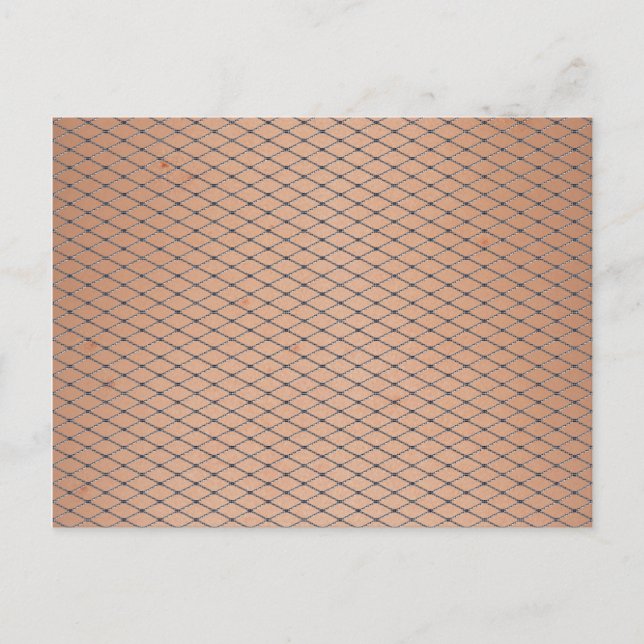 Silver Woven Fishnets mit Skin Textur Postkarte (Vorderseite)