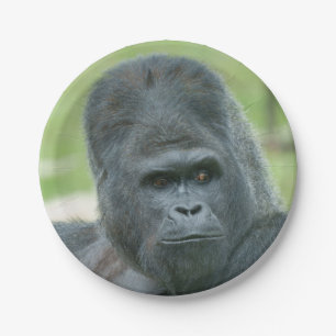 Silverback Dishi Pappteller