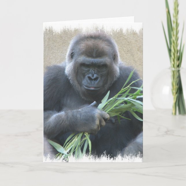 Silverback Gorilla Grußkarte Karte (Vorderseite)