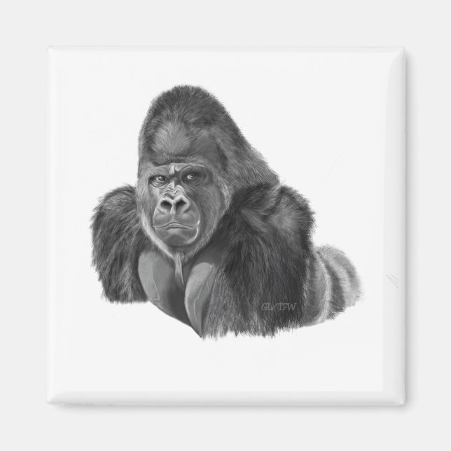 Silverback Gorilla Magnet ゴリラのマグネット (Vorne)