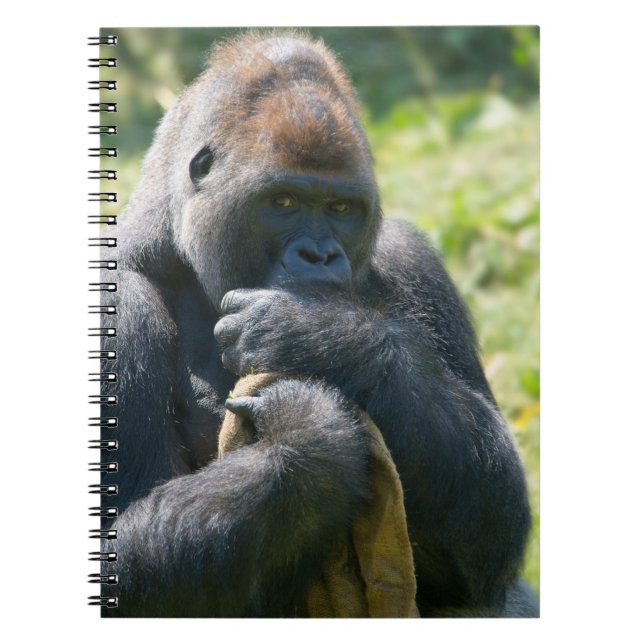Silverback Gorilla und sein Deckblatt Notizblock (Vorderseite)