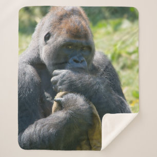 Silverback Gorilla und sein Deckblatt Sherpadecke