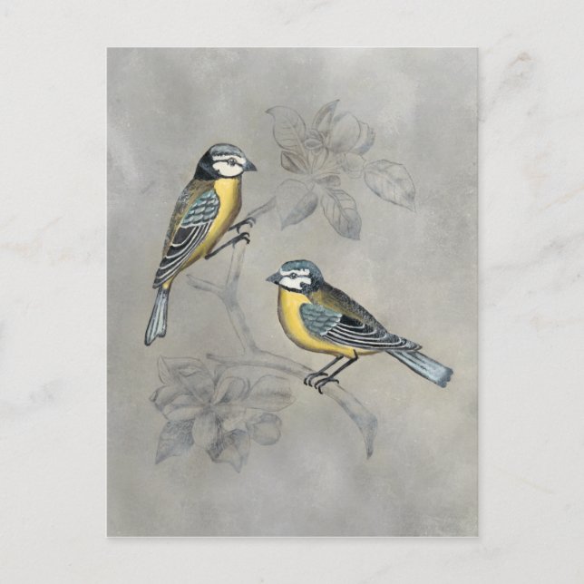 Silvered Aviary | Vogel Couple Postkarte (Vorderseite)
