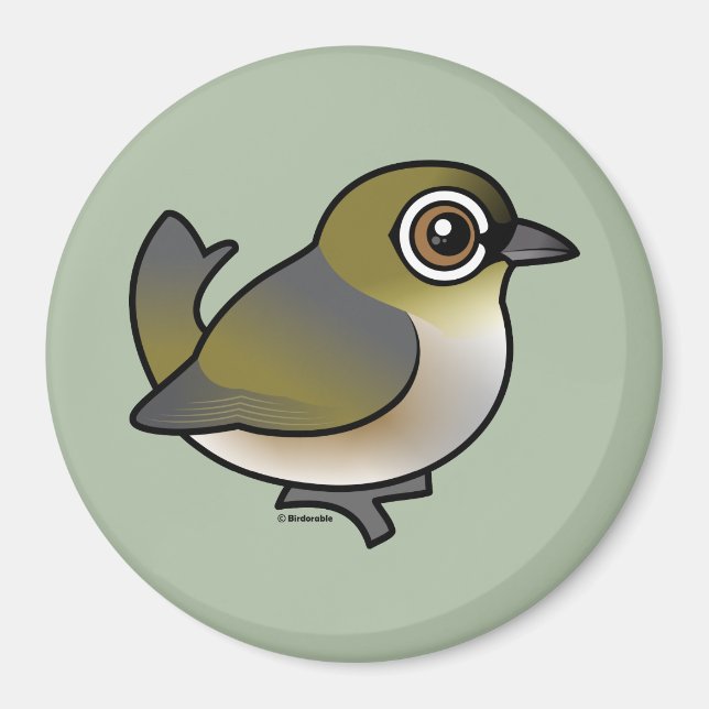 Silvereye Magnet (Vorne)