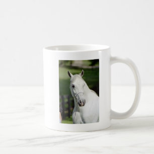 Silverstoneshamal Kaffeetasse