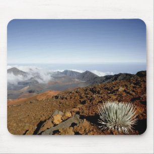 Silversword am Rand des Haleakala-Kraters aus der Mousepad