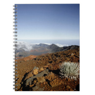 Silversword am Rand des Haleakala-Kraters aus der Notizblock