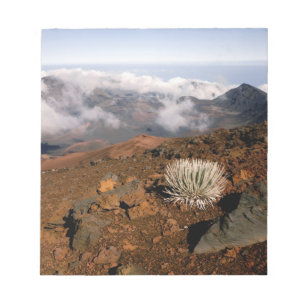 Silversword am Rand des Haleakala-Kraters von nahe Notizblock