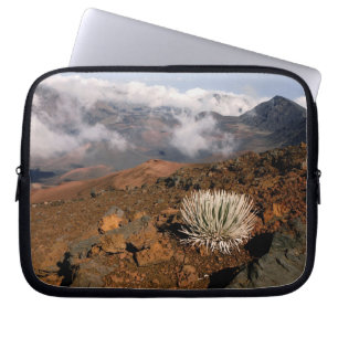 SilverWort auf Haleakala Krater Rim von nahe 3 Laptopschutzhülle