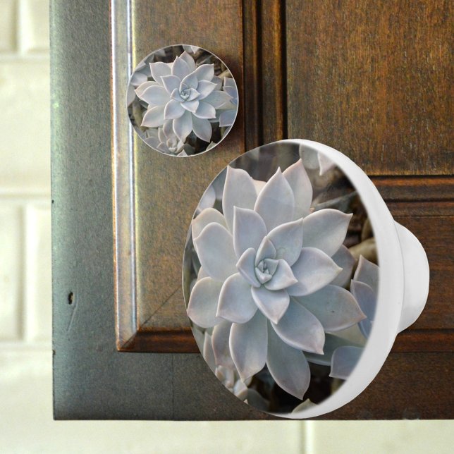 Silvery Blue Succulent Botanical Fotografic Keramikknauf (Von Creator hochgeladen)