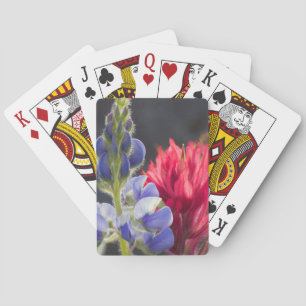 Silvery Lupine, Lavendelpinsel Spielkarten