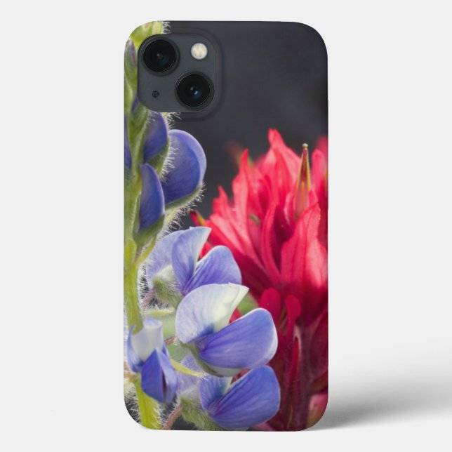 Silvery Lupine, Lavender Paintbrush Case-Mate iPhone Hülle (Rückseite)