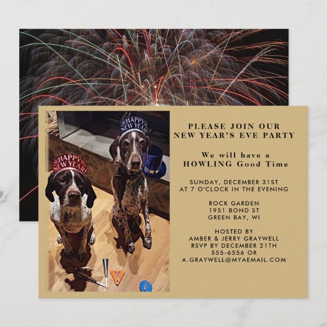 Silvester Party Hunde und Feuerwerke Einladung (Vorne/Hinten)