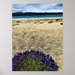 Simax Bay at Crescent Lake Poster