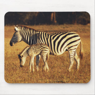 Simbabwe, Hwange National Park, Linkwasha Mousepad
