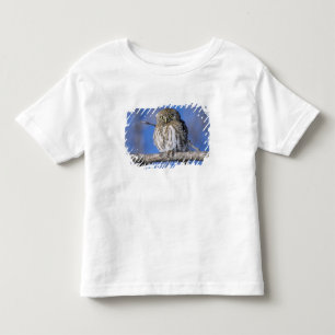 Simbabwe. Nahaufnahme eines Perlkauzes Kleinkind T-shirt