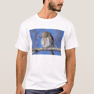 Simbabwe. Nahes Aufgehen der Perlkauz gepunktet T-Shirt