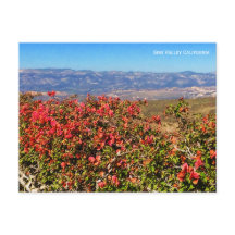 Simi Valley California