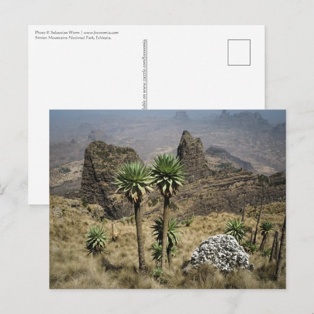 Simien Berge Äthiopien Postkarte (Vorne/Hinten)
