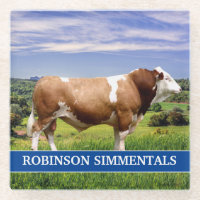 Simmental Bull in Weide