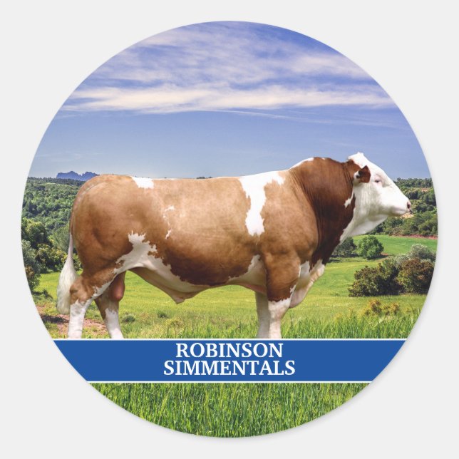 Simmental Bull in Weide Runder Aufkleber (Vorderseite)