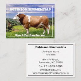 Simmental Bull in Weide Visitenkarte
