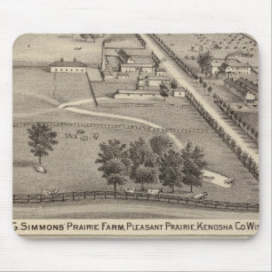 Simmon's Prairie Farm, Kenosha Water Cure Mousepad
