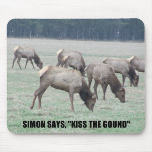 Simon sagt.. mousepad