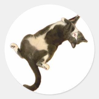 Simon Sticker - Spielen!