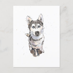 simple Grey Husky mignon chien drôle Carte postale