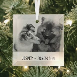 Simple, Modern Custom Pet or People Ornament Aus Glas