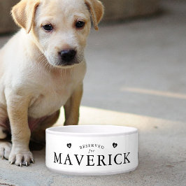 Simple Reserved for Custom Dog Napf