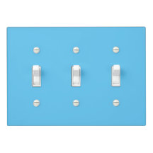 Simple Sky Blue Authority® 3 Toggle