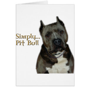 Simplement PitBull