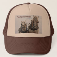 Simply Percheron