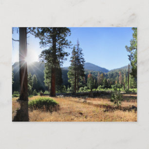 Simpson Meadow - Sierra Postkarte